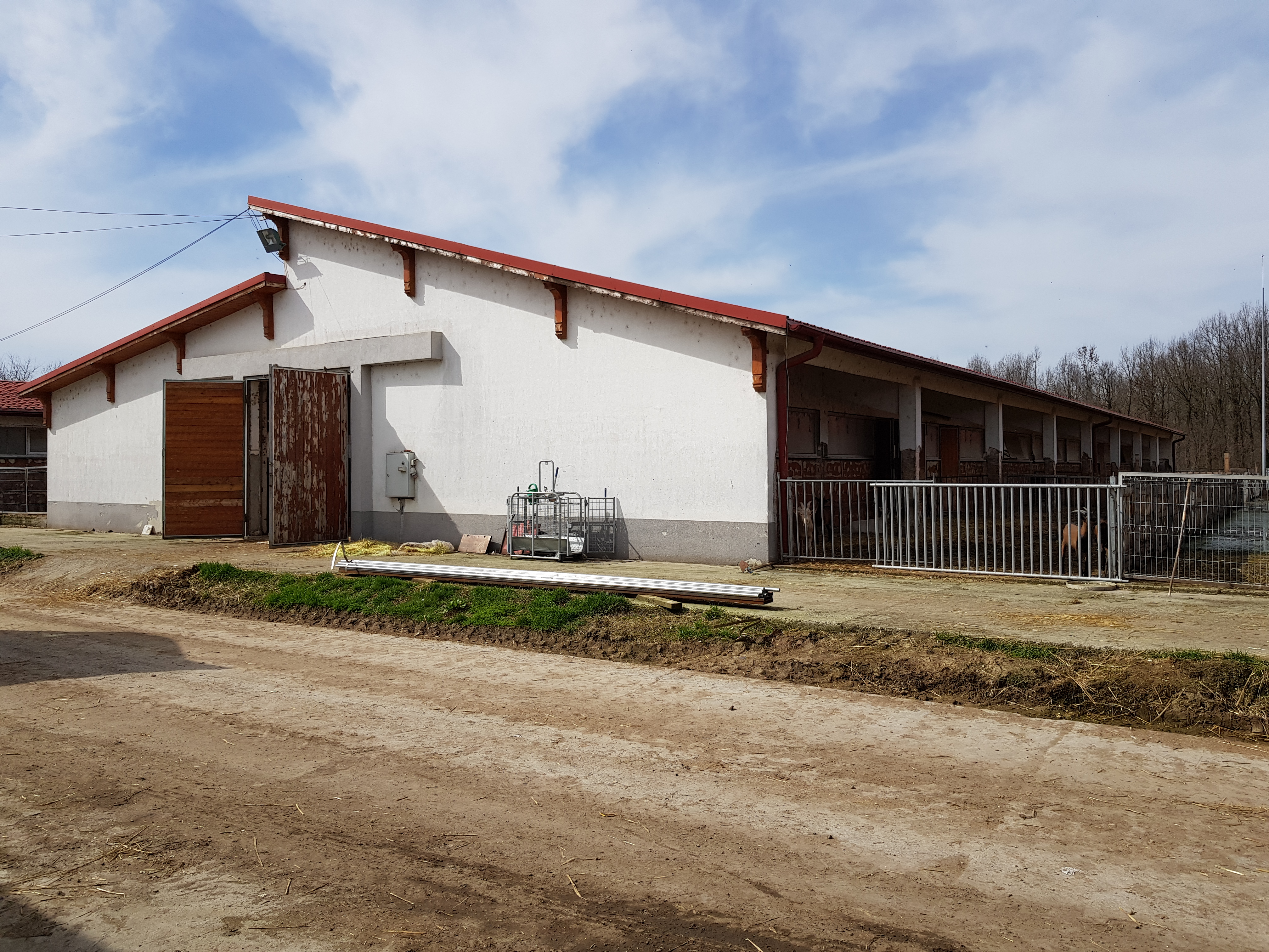 Fermă industrială de creștere a caprelor și a iezilor la îngrășat- situată în Com. Satulung, județul Maramureș - 8